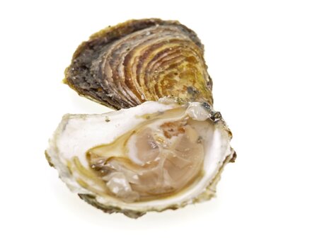 Oesters: Huitre fine claire nr. 3 (96x)