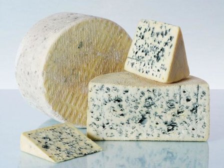 Bleu d&#039;Auvergne AOC